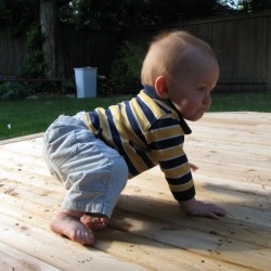 Dex came out to help with the Deck for a bit