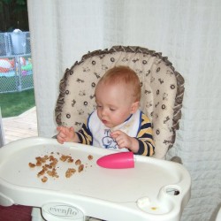 Here's Dex, inspecting his chocolate / peanut butter / butterscotch / cheerio cookie