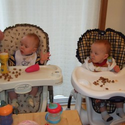 And Grandma Zaidee bought him Cheerios in a bite-sized container! Nic is so envious, even though he doens't like Cheerios.