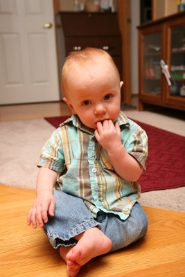 img_2982 img_2982